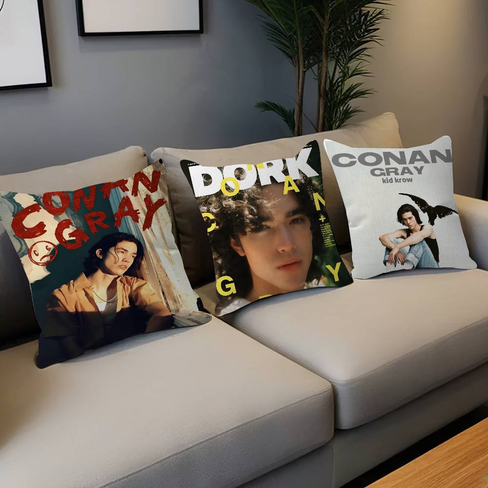 Singer C-Conan Gray Personaliz - Home Textiles Inc recensione e prezzo