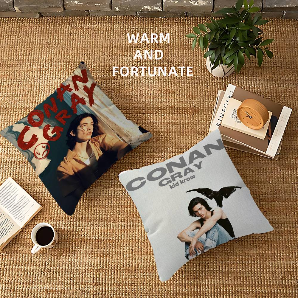 Singer C-Conan Gray Personaliz - Home Textiles Inc recensione e prezzo