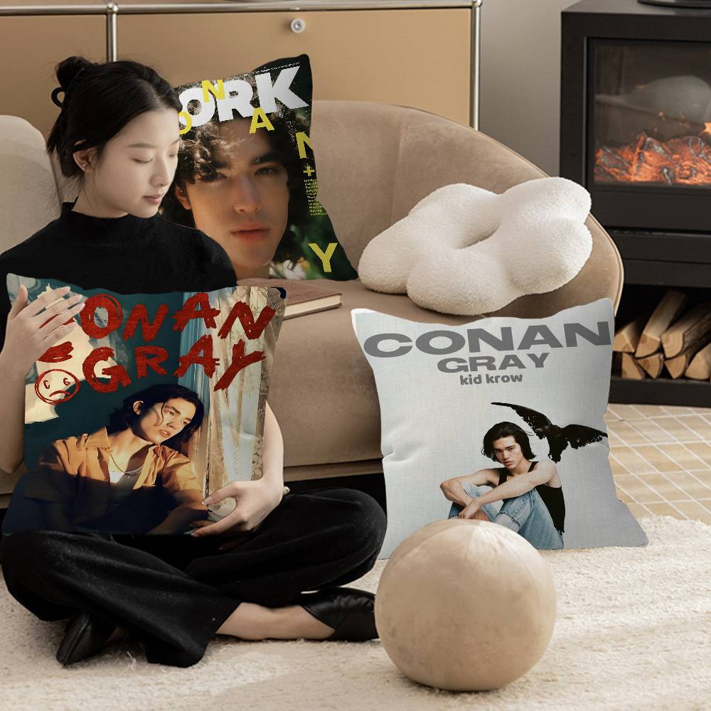 Singer C-Conan Gray Personaliz - Home Textiles Inc recensione e prezzo