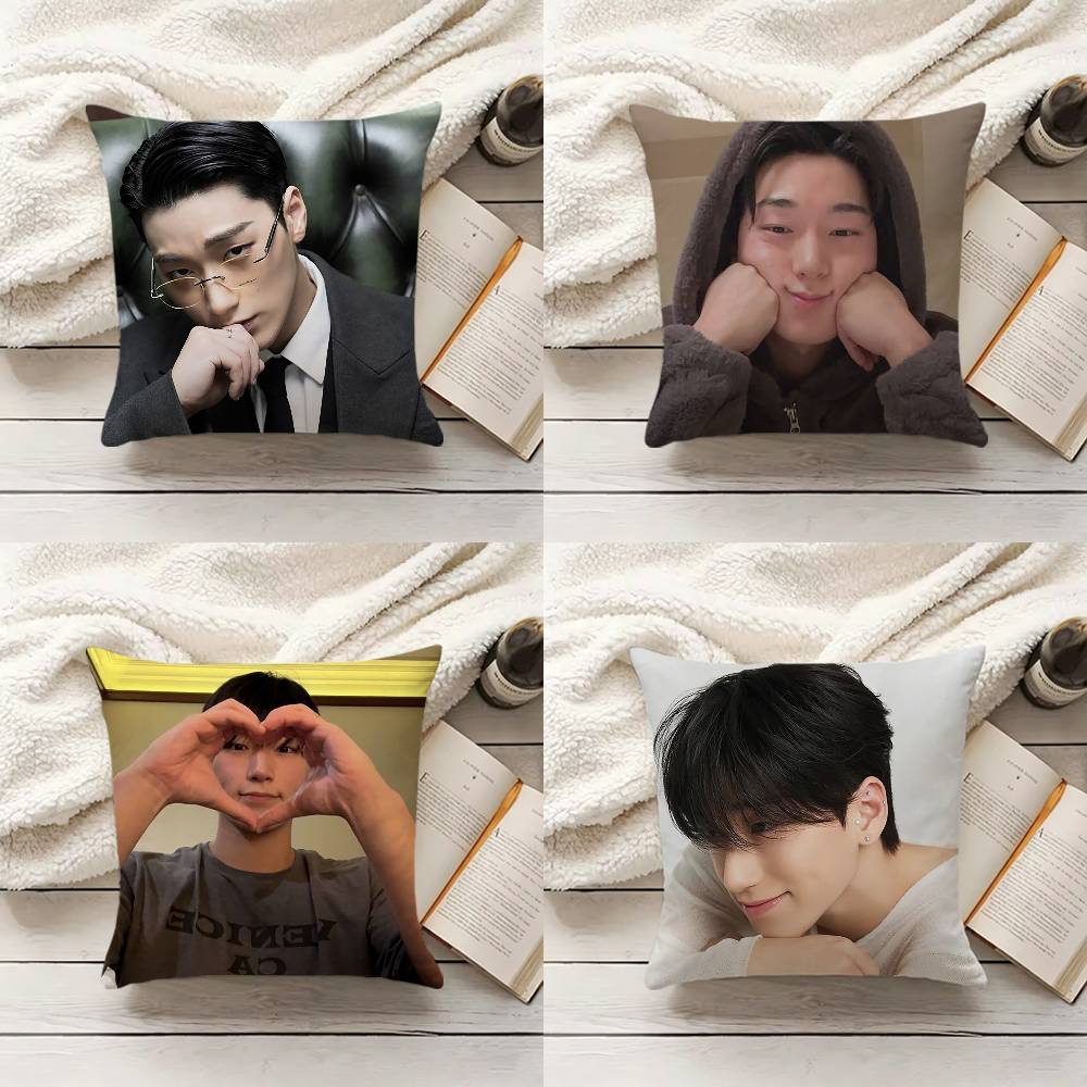 C-Choi S-San Pillow Cover Sofa - Home Textiles Inc recensione e prezzo