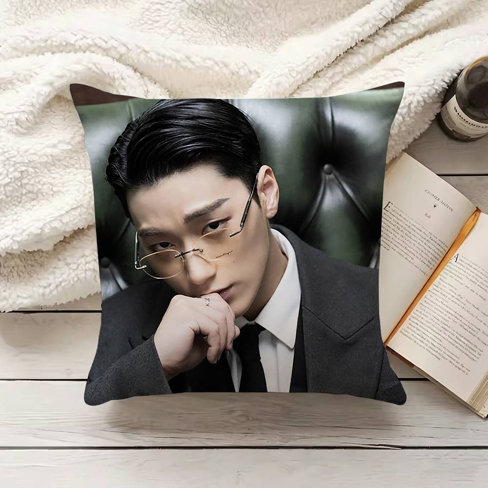 C-Choi S-San Pillow Cover Sofa - Home Textiles Inc recensione e prezzo