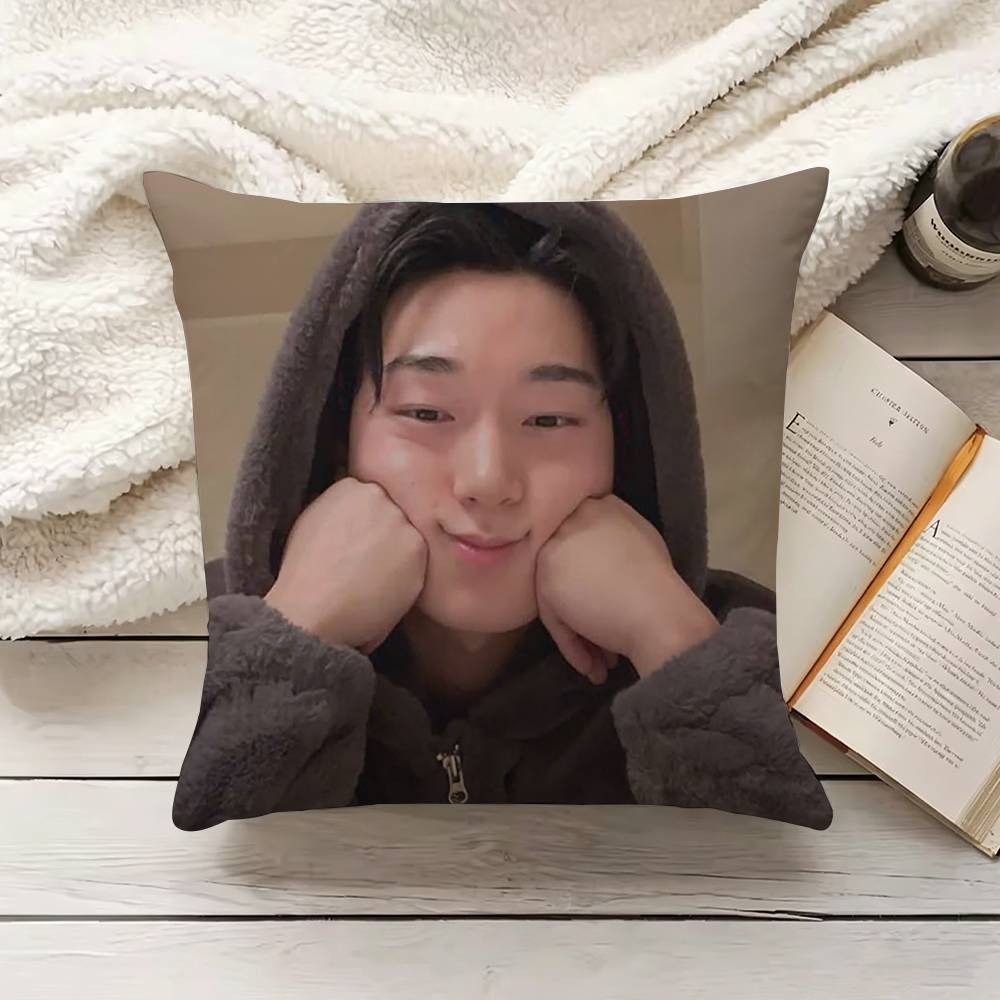 C-Choi S-San Pillow Cover Sofa - Home Textiles Inc recensione e prezzo